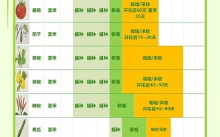 以种的蔬菜种植技巧（如何成功地种植以种的蔬菜）