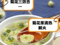菊花怎样开放的奥秘（探索菊花开放的美丽过程）