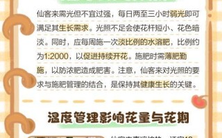 救活憔悴的植物——以仙客来换盆后的护理指南（以仙客来换盆后怎么救活？护理技巧大揭秘！）