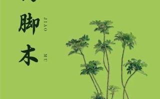 揭秘鸭脚木叶发白的原因（探究鸭脚木叶发白的背后奥秘）