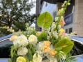 以柔丽丝花的独特魅力与养护技巧（探索柔丽丝花的花色与形态，分享养护经验）