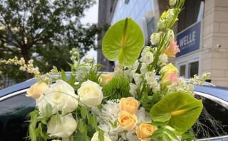 以柔丽丝花的独特魅力与养护技巧（探索柔丽丝花的花色与形态，分享养护经验）