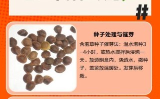 如何合理修剪过快生长的含羞草？（合理修剪方式、修剪时间、修剪频率、修剪工具的选择）