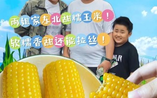 甜玉米生长周期的探究（了解甜玉米的生长周期，让你更懂它的种植）
