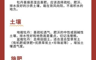 如何成功种植牡丹？（掌握牡丹栽种的方法和注意事项，打造美丽园林）