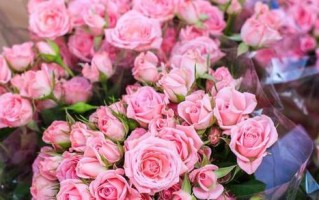 初恋送什么花合适？-送花指南