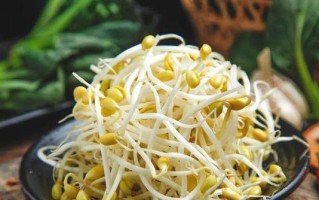 菠菜是蔬菜还是碳水化合物？（探究菠菜的营养成分及其对人体的影响）