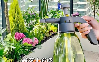 柠檬水浇花效果如何？（探究柠檬水浇花的优缺点和注意事项）