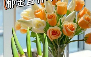 郁金香种球的保存方法（种球保存必须知道的15个注意点）