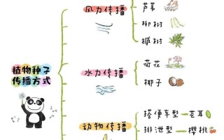 从自然传播到人工培育，探究芦苇的种子传播方式（从自然传播到人工培育，探究芦苇的种子传播方式）