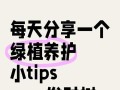 南方发财树的冬季养护秘籍（让您的南方发财树在寒冷冬季中茁壮成长）