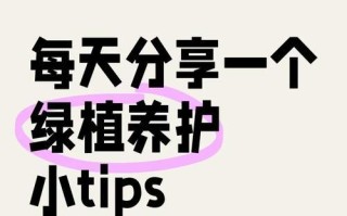 南方发财树的冬季养护秘籍（让您的南方发财树在寒冷冬季中茁壮成长）