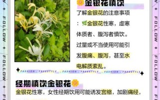 金银花的花语和寓意（探究金银花所代表的含义和象征）