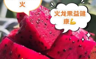 火龙果（解析火龙果的营养成分与功效）