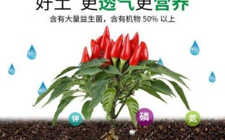 以虎皮兰复合肥的正确使用方法（让您的虎皮兰茁壮成长，繁花似锦）