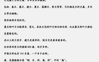 如何成功种植兰花（从选购到养护，一步步教你种植兰花）