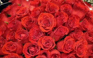 结婚20年送什么花合适？（如何用花祝福结婚20周年？）