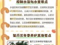 如何让蟹爪莲开花的秘诀（掌握关键技巧，让蟹爪莲绽放绚烂花海）