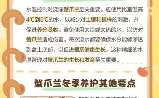 如何让蟹爪莲开花的秘诀（掌握关键技巧，让蟹爪莲绽放绚烂花海）