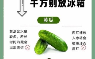 如何保存新鲜的黄瓜？（黄瓜能否放冰箱？）