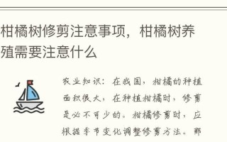 如何正确地修剪小橘子树（小橘子树修剪方法，让你的果树茁壮成长）