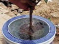 如何科学浇水山茶花（掌握适宜浇水频率和方法，让山茶花茁壮成长）