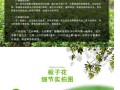 楼上养小叶栀子的养护技巧（打造室内绿色阳台，享受小叶栀子之美）