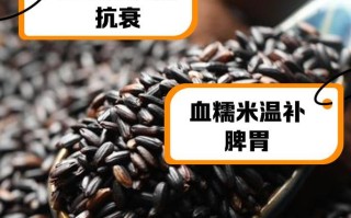 黑糯米的功效与作用（探究黑糯米的健康价值，品尝多样美味）
