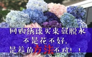 花束蔫了怎么办？如何延长鲜花的寿命（掌握几个简单技巧，让花束更加持久）
