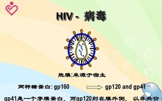 菊花病毒病的症状、防治方法及预防措施