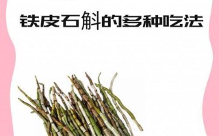 石斛种植详解（从养殖方法到养护要点，一网打尽！）