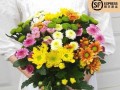 家养小雏菊的风水好处（揭秘小雏菊的神奇之处，让你家的风水更佳）