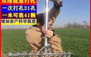 大葱移栽全攻略（什么时候移栽最合适？移栽的方法和注意事项）