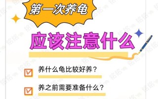 双面桂养护指南（从养护到繁殖，轻松打造美丽的双面桂花园）