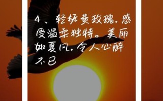 如何养殖黄玫瑰更旺盛（黄玫瑰养殖技巧，打造美丽花园）