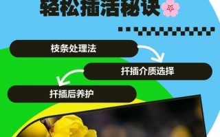 腊梅换盆后的处理方法（腊梅换盆的注意事项和步骤）
