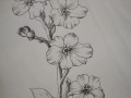 以勿忘我鲜花的绘画技巧与表现方法（轻松学会画出逼真的勿忘我花朵，让作品充满生机）
