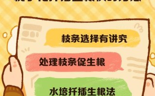 栀子花大枝条扦插技巧（以栀子花怎么扦插大枝条为主题的实用指南）