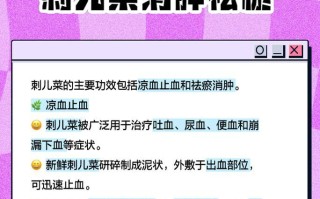 刺儿菜的营养与保健功效（探究刺儿菜的多种作用，增强人体健康）