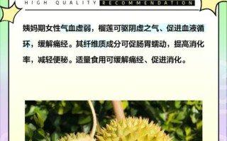 榴莲的性质探讨（热性还是凉性？榴莲的营养价值和功效）