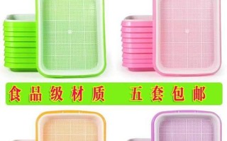阳台种植小麦的时间和方法（阳台农业，让生活更美好）