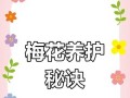 梅花开花时的科学浇水方法（梅花浇水的时间、频率和注意事项）