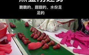 以莲雾汁水清洗的小妙招（清洗无忧，莲雾助手）