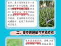 冬季植物保护与管理（以何种植物为主，如何过冬？）
