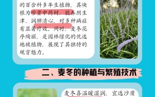 冬季植物保护与管理（以何种植物为主，如何过冬？）