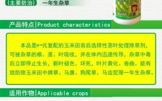 揭秘玉米的生长特性（玉米是一年生还是多年生？探究其生长特点与周期）