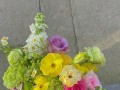 送人花的艺术——接人送什么花合适？（以人为本，选花为情）