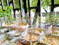 以红花酢浆草怎么种植（种植红花酢浆草的步骤与技巧）