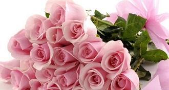 16朵红玫瑰的花语（探究玫瑰的象征意义，了解16朵红玫瑰的花语）-第2张图片-绿意生活