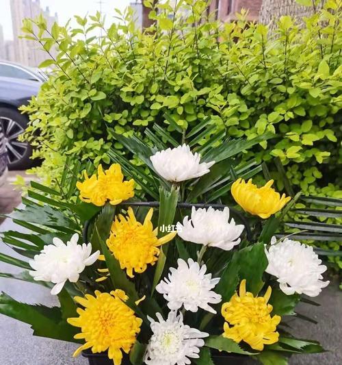 清明节花卉文化——缅怀祖先的永恒情感-第1张图片-绿意生活